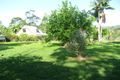 Property photo of 828 East Feluga Road East Feluga QLD 4854