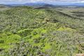 Property photo of 60 Dodd Lane The Caves QLD 4702