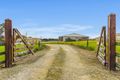 Property photo of 214 Wynham Road Moorak SA 5291