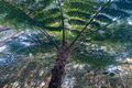 Property photo of 567 Friday Hut Road Possum Creek NSW 2479
