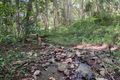 Property photo of 567 Friday Hut Road Possum Creek NSW 2479