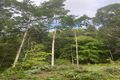 Property photo of 567 Friday Hut Road Possum Creek NSW 2479