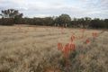 Property photo of 38 Fowler Street Monteagle NSW 2594