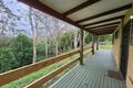 Property photo of 19 Aroona Crescent Bilambil NSW 2486