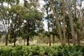 Property photo of 16 Doherty Court Kangaroo Gully WA 6255