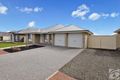Property photo of 43 Pedler Boulevard Freeling SA 5372