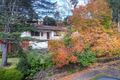 Property photo of 29 Nereida Close Kotara NSW 2289