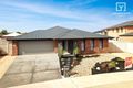 Property photo of 9 Daylesford Crescent Kialla VIC 3631