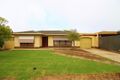 Property photo of 14 Dundee Road Modbury SA 5092