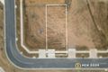 Property photo of 30 Pat Lovell Crescent Whitlam ACT 2615