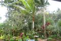 Property photo of 74 Eacham Road Yungaburra QLD 4884