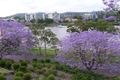 Property photo of 11/5 Duncan Street West End QLD 4101