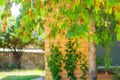 Property photo of 1/36 Templeton Street Cook ACT 2614