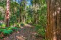 Property photo of 91 Robinsons Road Eudlo QLD 4554