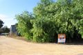 Property photo of 7 Schinckel Road Naracoorte SA 5271