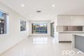 Property photo of 66 Apex Avenue Picnic Point NSW 2213