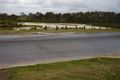 Property photo of 52 Lake Manchester Street Logan Reserve QLD 4133