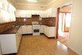 Property photo of 42 Wilkins Street Yagoona NSW 2199