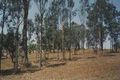 Property photo of 2 Rosella Drive Wingham NSW 2429