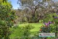 Property photo of 6 The Boulevard McCrae VIC 3938