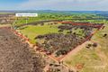 Property photo of 3174 Holbrook Road Mangoplah NSW 2652
