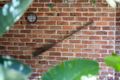 Property photo of 12 Glenholme Way Culburra Beach NSW 2540