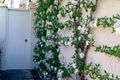 Property photo of 116 Empire Circuit Yarralumla ACT 2600