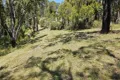 Property photo of 23 Hughendon Road Beaconsfield Upper VIC 3808