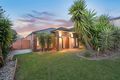 Property photo of 99 Marisa Crescent Berwick VIC 3806