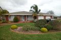 Property photo of 267 Grenfell Road Redwood Park SA 5097