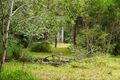 Property photo of 43 Laguna Grove Doonan QLD 4562