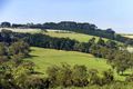 Property photo of 22 Paringa Road Red Hill South VIC 3937