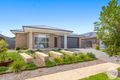 Property photo of 12 Macadamia Circuit Medowie NSW 2318