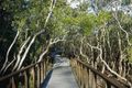 Property photo of 5B Vantage Point Drive Burleigh Heads QLD 4220
