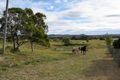 Property photo of 7 Waldron Road Hatton Vale QLD 4341