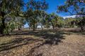 Property photo of 6 Retreat Cove Woodvale WA 6026