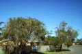 Property photo of 37 Undara Avenue Buddina QLD 4575