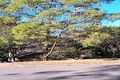 Property photo of 1/41 Ellesmere Road Gymea Bay NSW 2227