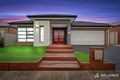 Property photo of 5 Tallgrass Avenue Truganina VIC 3029