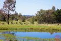 Property photo of 169 Winders Lane Lochinvar NSW 2321