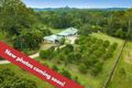 Property photo of 888 Eumundi Noosa Road Doonan QLD 4562