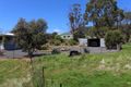 Property photo of 1675 Timor Road Coonabarabran NSW 2357