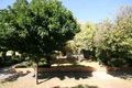 Property photo of 3 Agnes Street Glengowrie SA 5044
