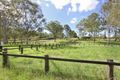 Property photo of 19 Tallai Road Tallai QLD 4213