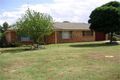 Property photo of 13 Christie Street Raglan NSW 2795