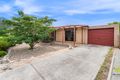 Property photo of 3 Altson Circuit Conder ACT 2906
