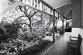 Property photo of 9 Union Street Largs Bay SA 5016