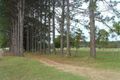 Property photo of 126 Deep Creek Road Valla NSW 2448