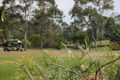 Property photo of 18 Narooma Drive Ocean Shores NSW 2483