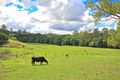 Property photo of 394 Cedar Creek Road Cedar Creek QLD 4520